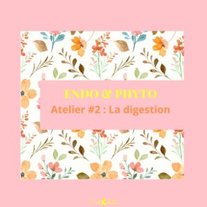 Atelier Endo & Phyto #2 - La digestion - Mercredi 12 novembre 2025