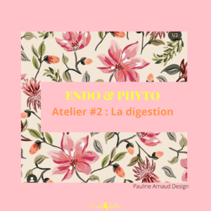 Atelier Endo & Phyto #2 - La digestion - 13 novembre 2023