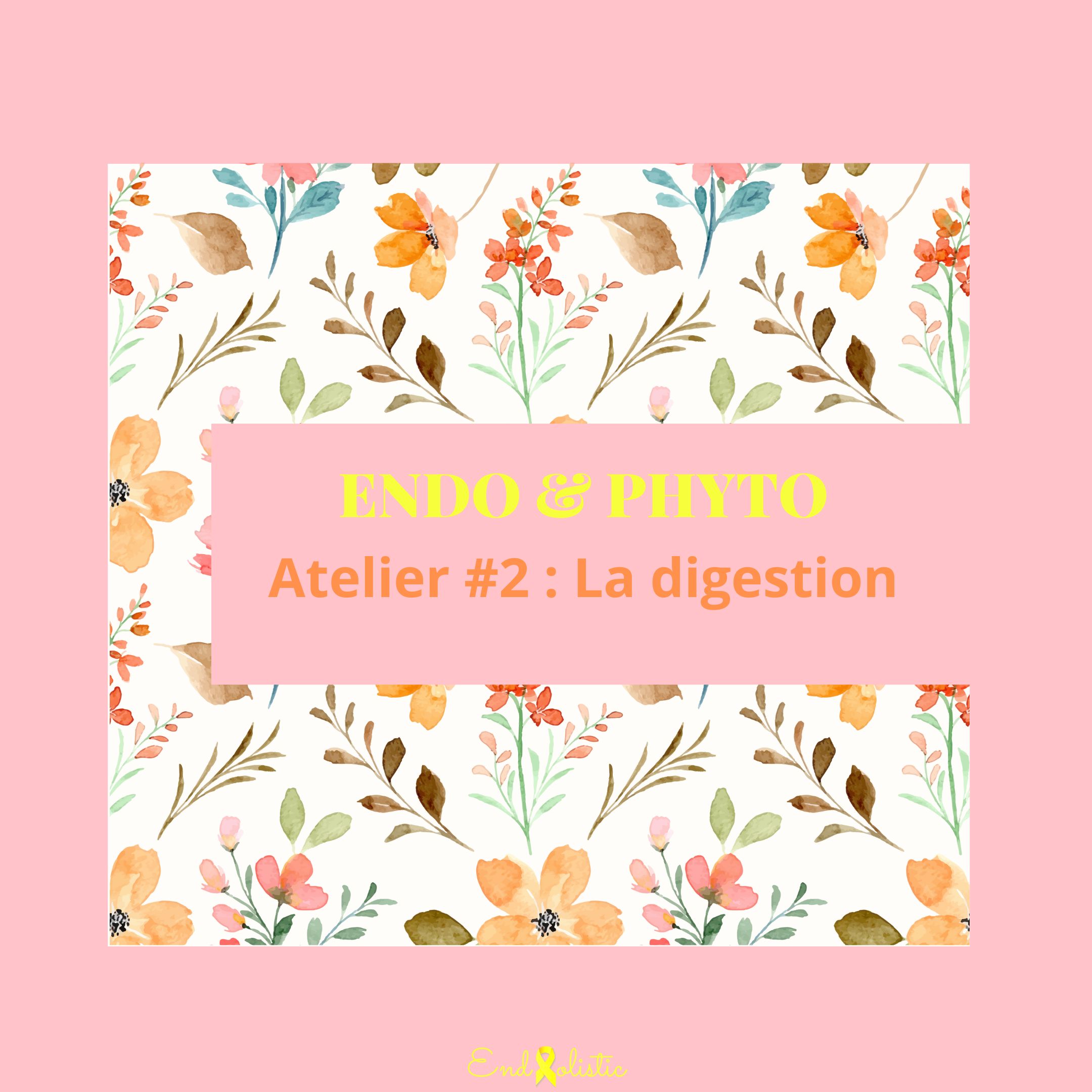 Atelier Endo & Phyto #2 - La digestion - Mercredi 12 novembre 2025
