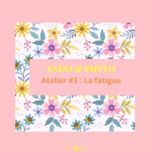 Atelier Endo & Phyto #3 - La fatigue - Mardi 18 novembre 2025