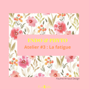 Atelier Endo & Phyto #3 - La fatigue - 20 novembre 2023