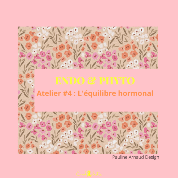Atelier Endo & Phyto #4 - L'équilibre hormonal - 27 novembre 2023