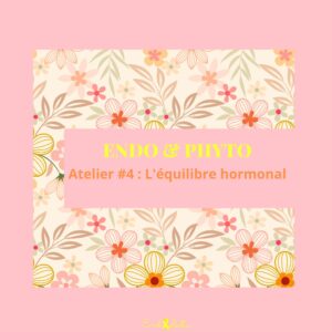 Atelier Endo & Phyto #4 - L'équilibre hormonal - Mardi 25 novembre 2025