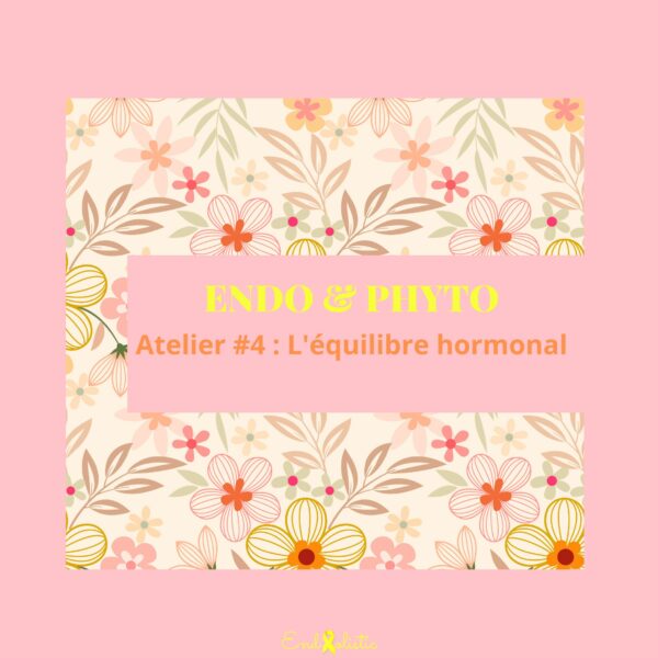 Atelier Endo & Phyto #4 - L'équilibre hormonal - Mardi 25 novembre 2025