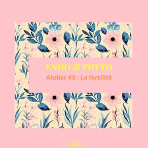Atelier Endo & Phyto #5 - La fertilité - Mardi 2 décembre 2025