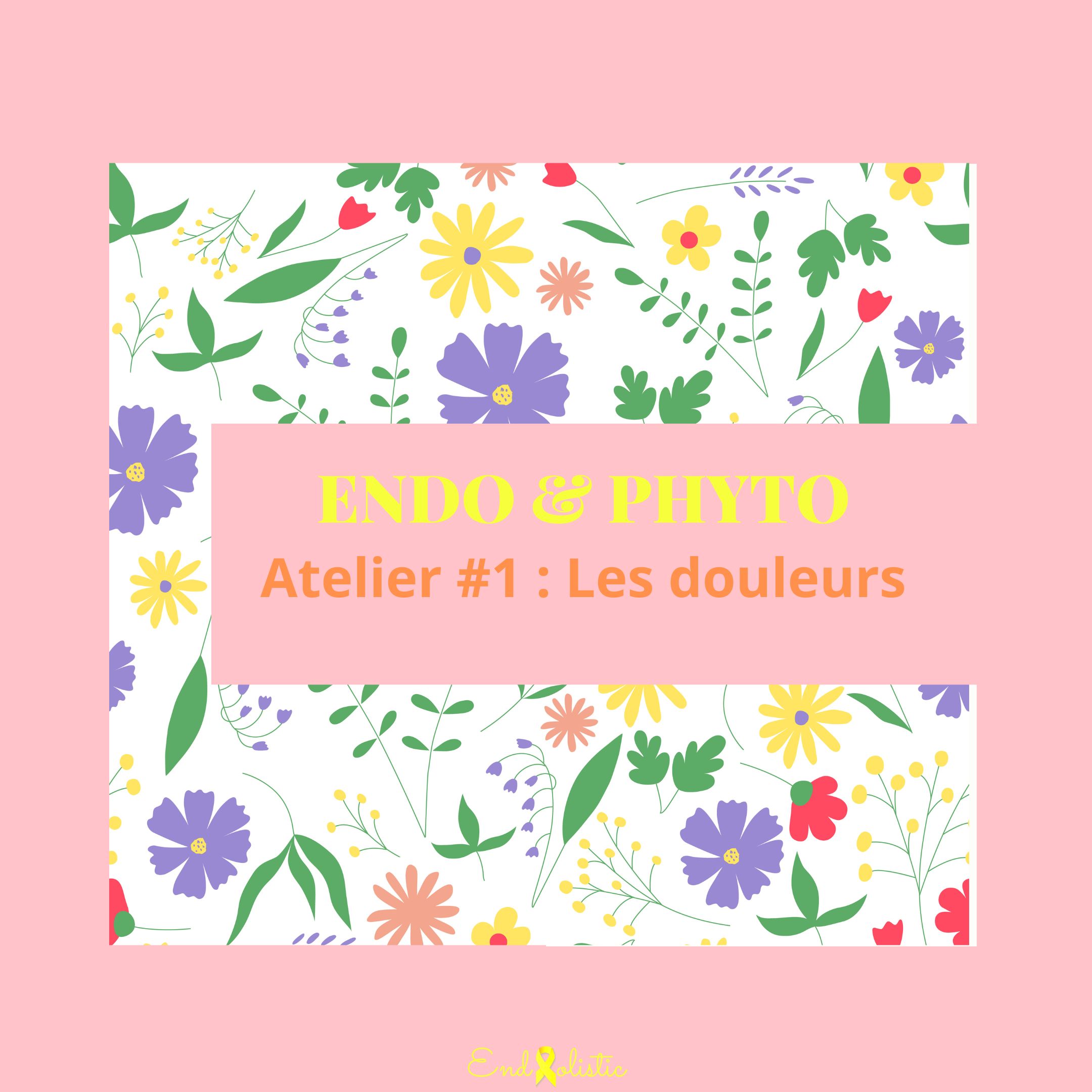 Atelier Endo & Phyto #1 - Les douleurs - Le mardi 4 novembre 2025